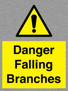 Danger Falling Branches